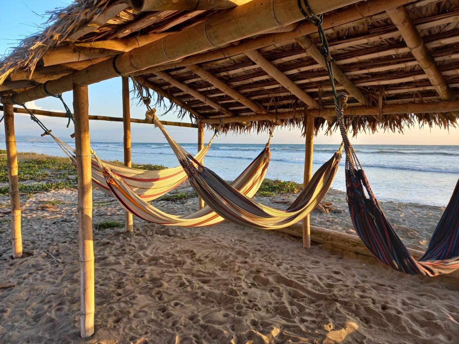 Canoa South Beach Kültér fotó